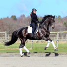 Jessica Nordin is an user of the PIXIO LIVE COACHING PACK in sweden