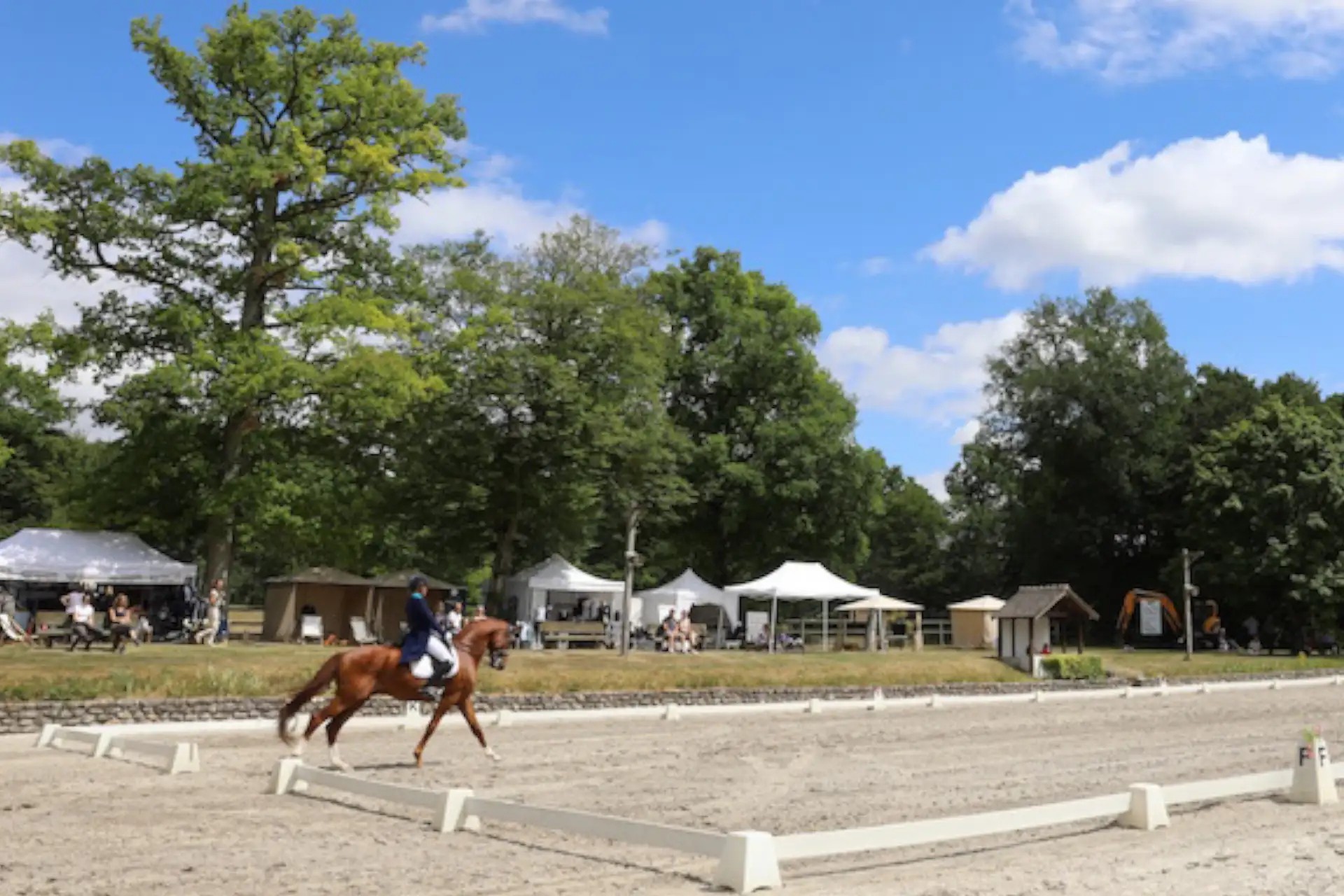 What do I need to film equestrian sports ?