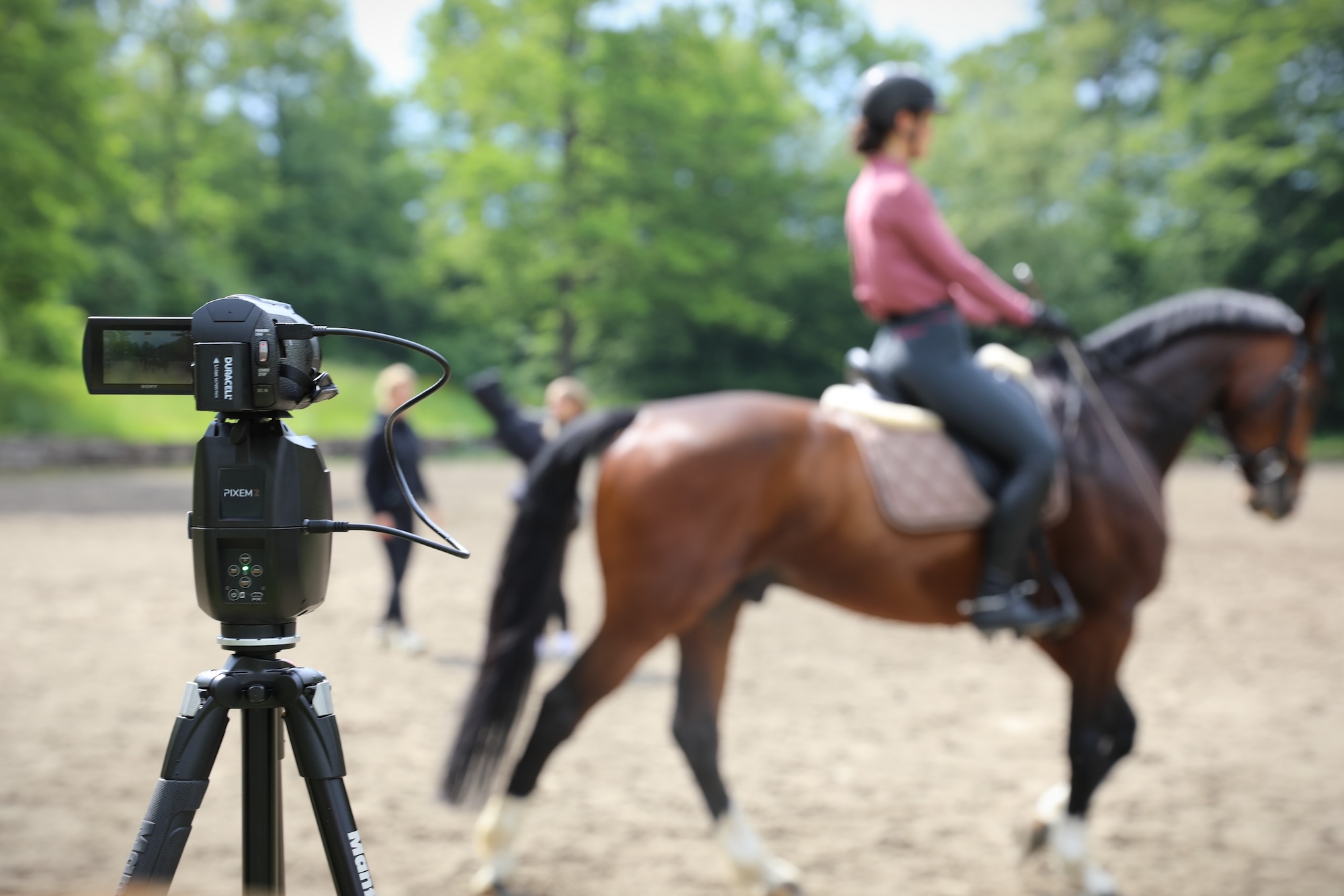 Equitation argument 1